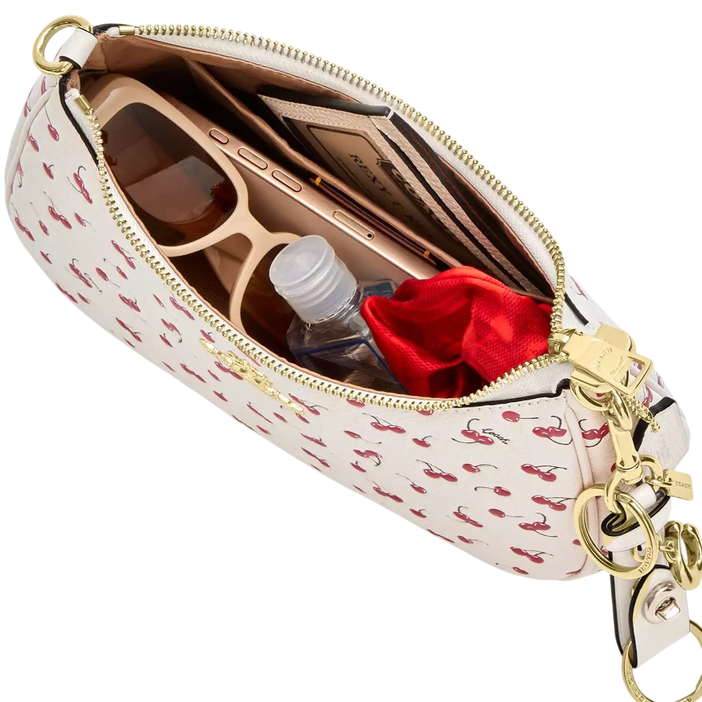 Túi đeo vai Coach Teri Shoulder Bag With Cherry Print CFG01 3