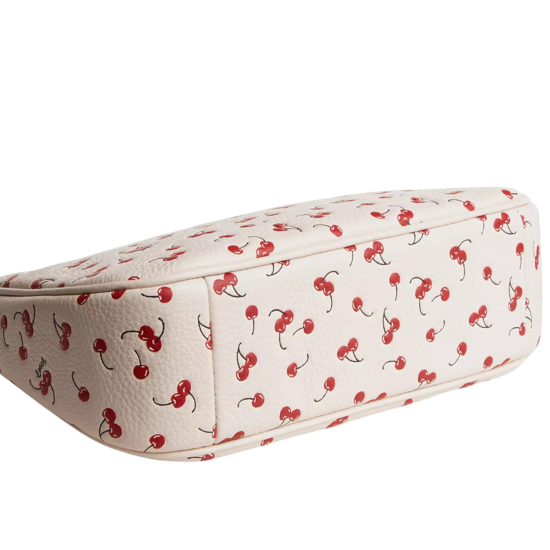 Túi đeo vai Coach Teri Shoulder Bag With Cherry Print CFG01 10