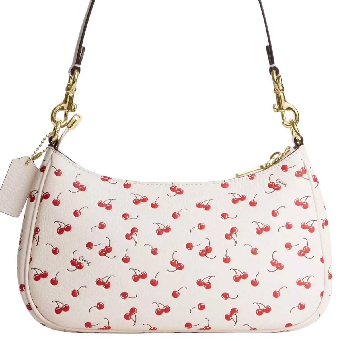 Túi đeo vai Coach Teri Shoulder Bag With Cherry Print CFG01 12