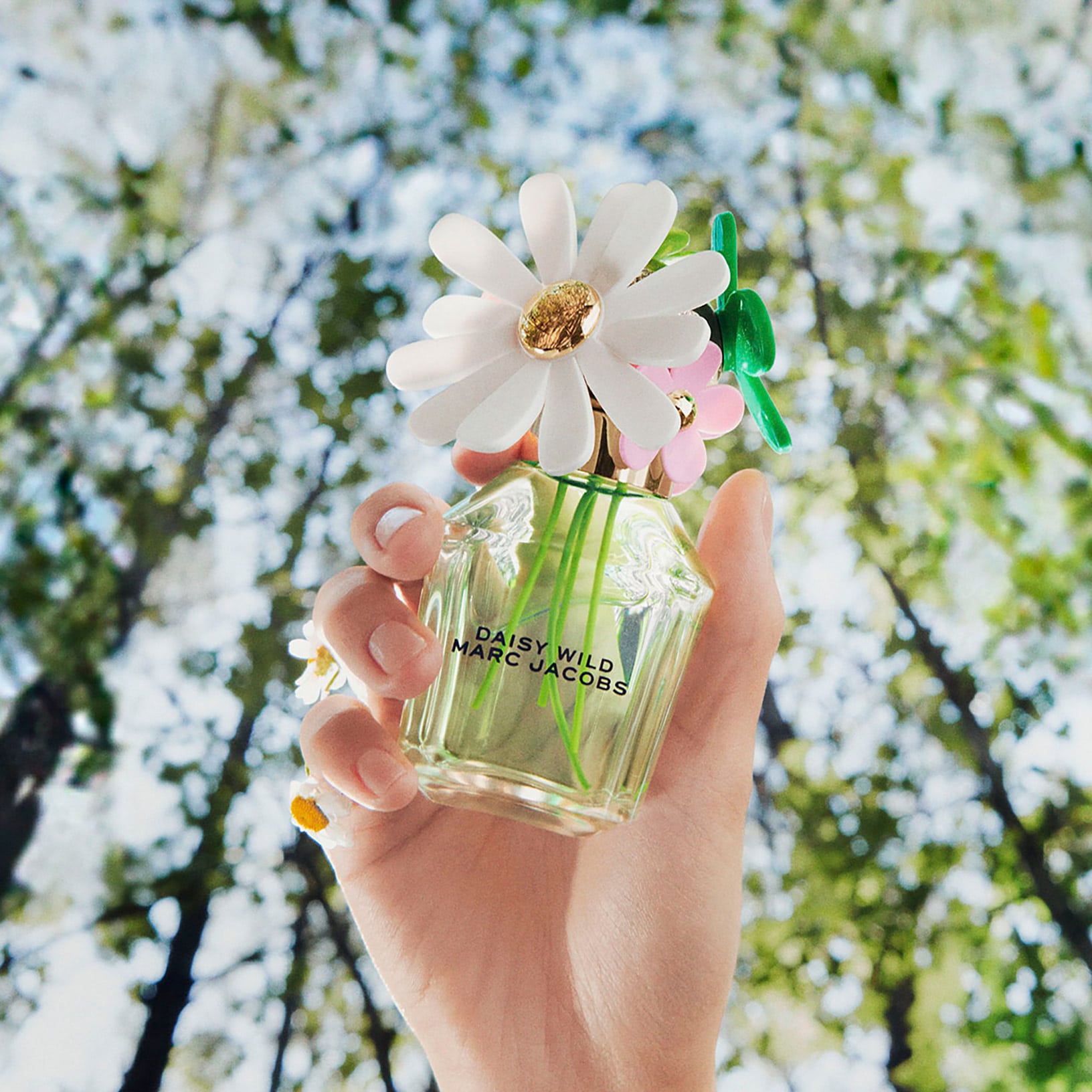 NƯỚC HOA NỮ MARC JACOBS DAISY WILD EAU DE PARFUM 6