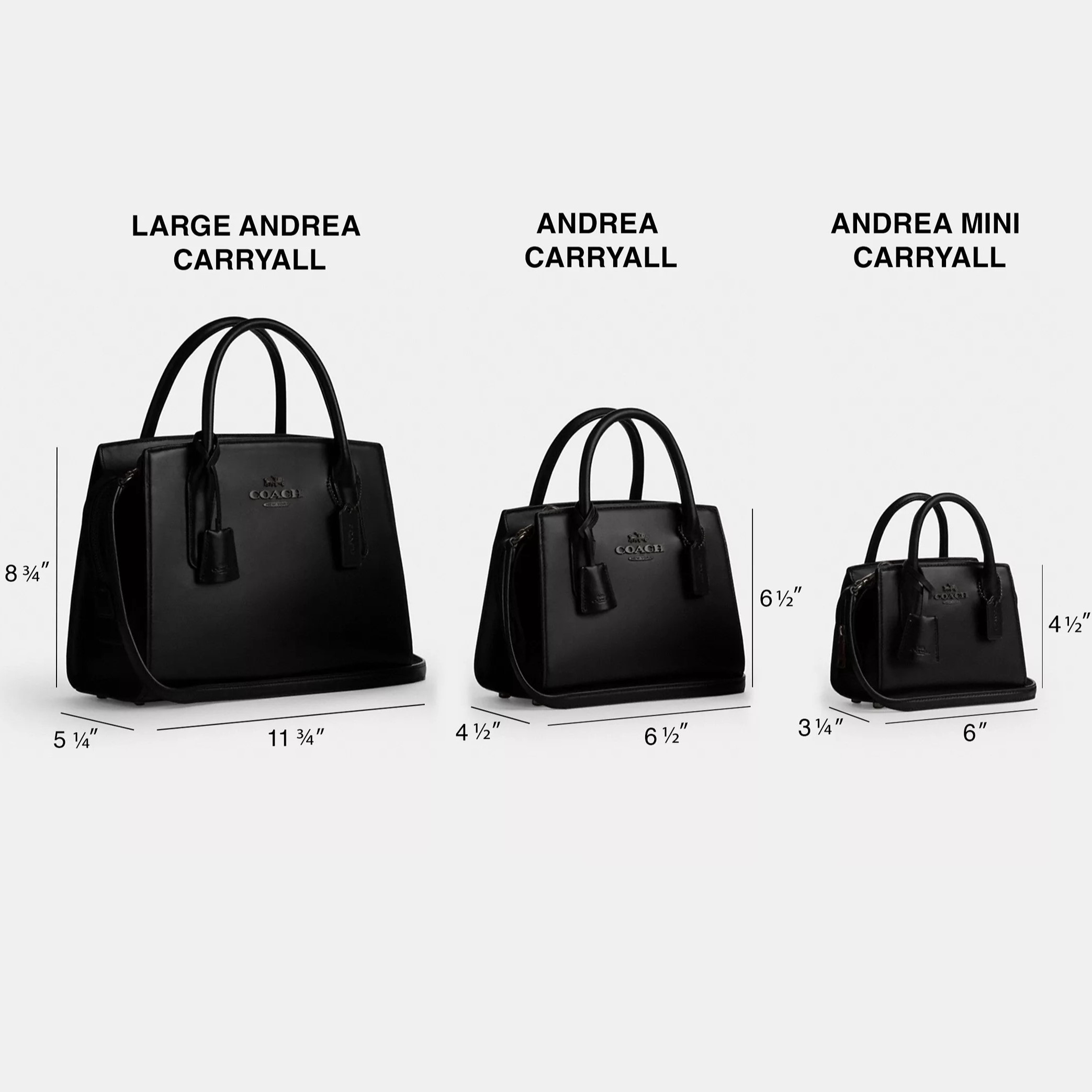 TÚI XÁCH NỮ COACH ANDREA CARRYALL BAG SILVER CHALK CP081 3