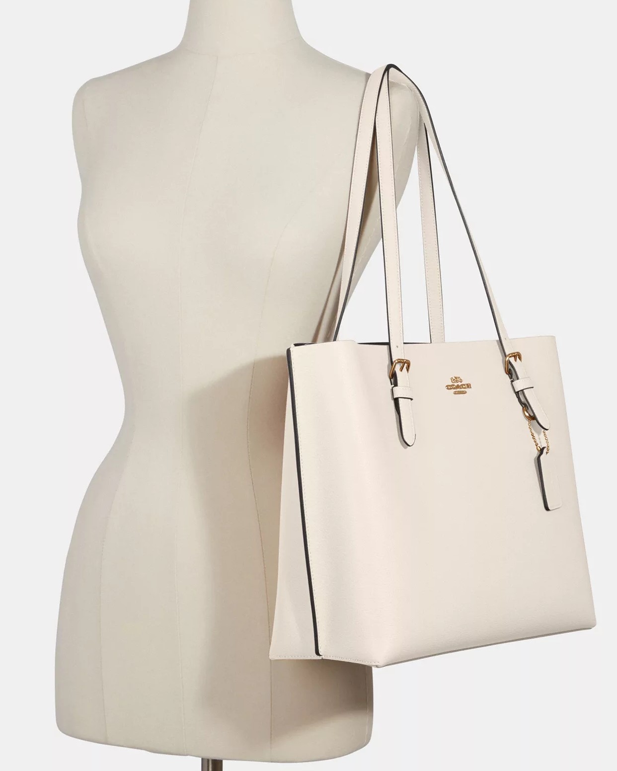 Túi Coach Mollie Tote Bag Gold Chalk Light Saddle 1671 3