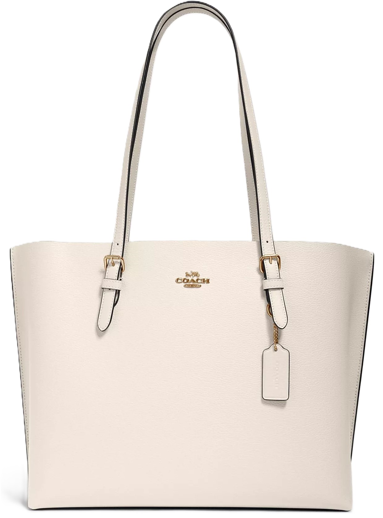Túi Coach Mollie Tote Bag Gold Chalk Light Saddle 1671 8
