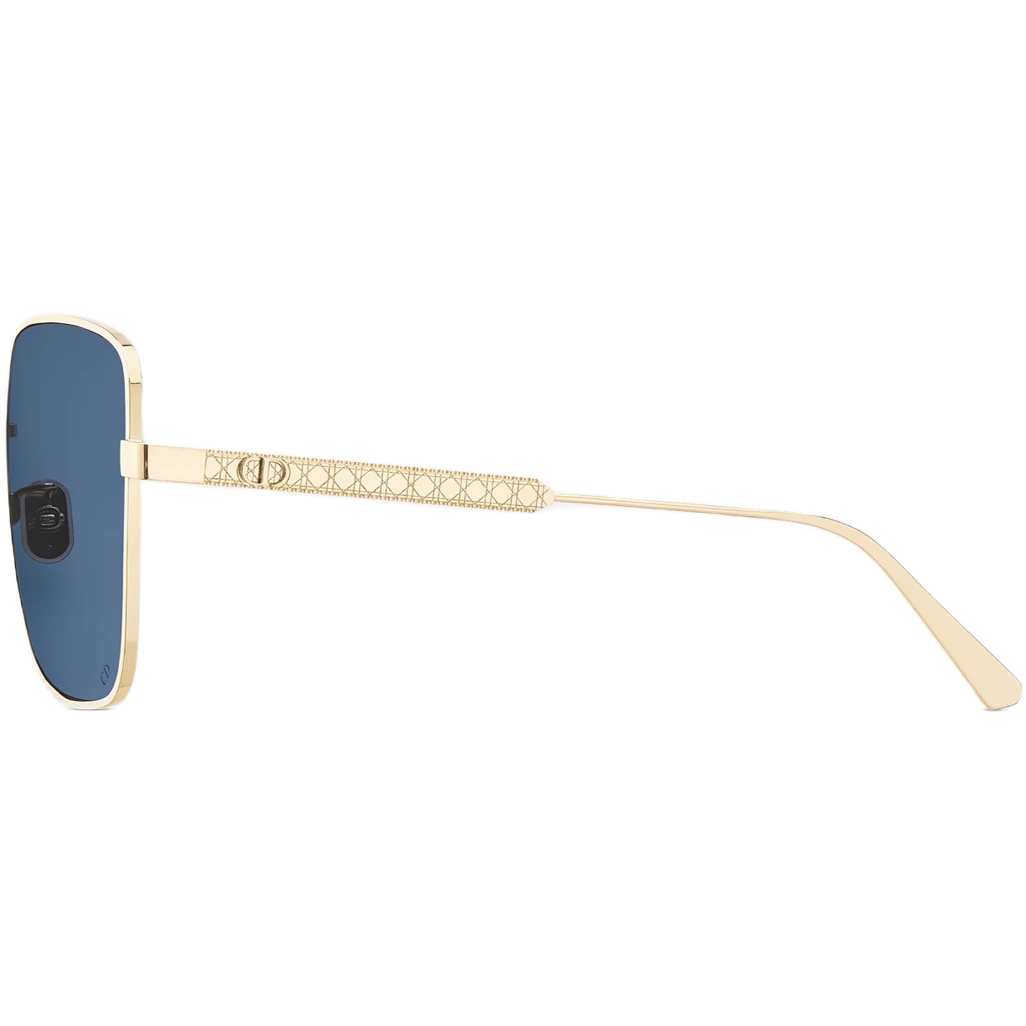 Kính mát Dior DiorCannage S1U Blue Square Sunglasses 2