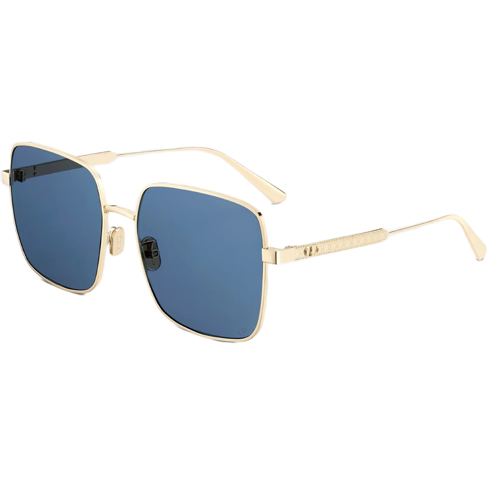 Kính mát Dior DiorCannage S1U Blue Square Sunglasses 6