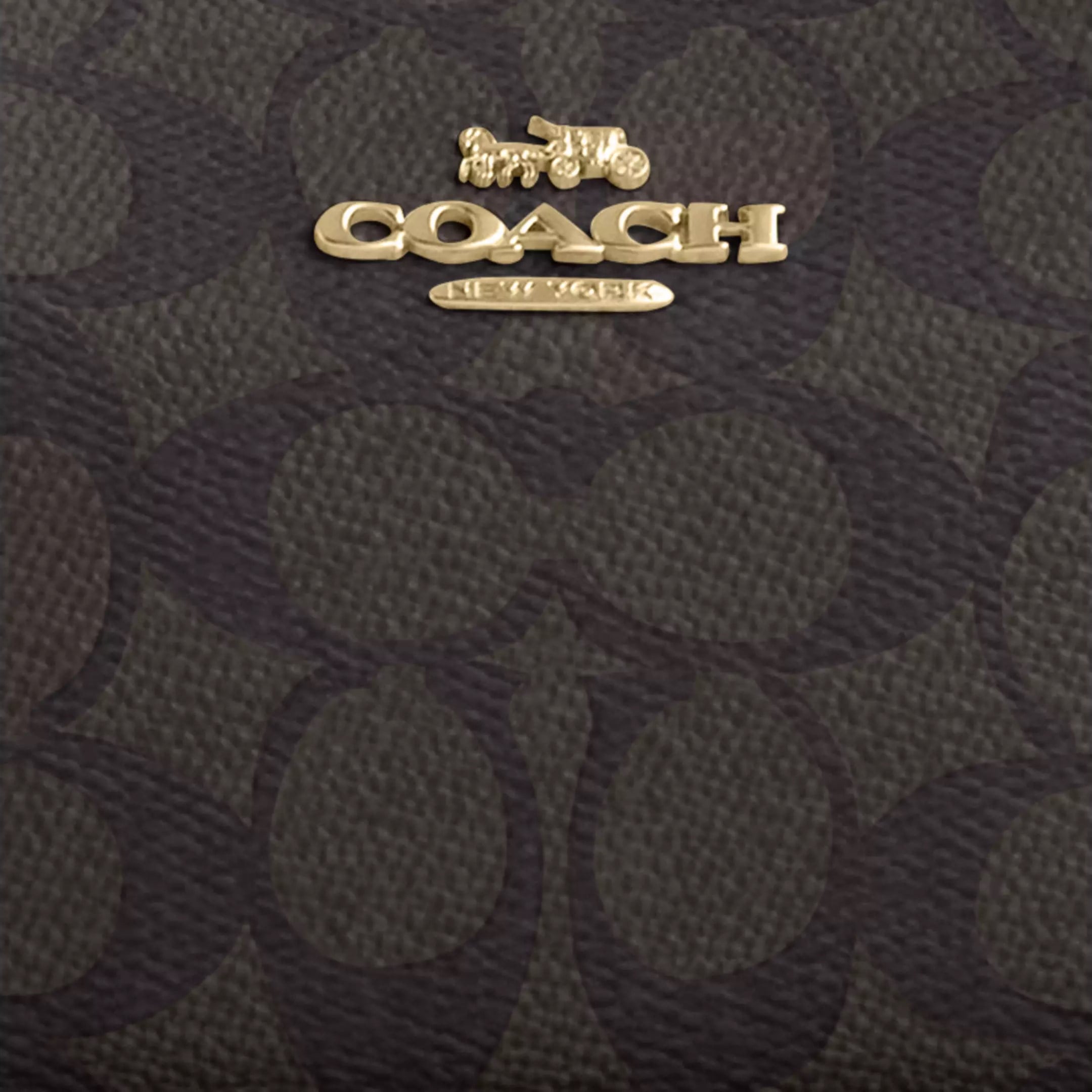 Túi Coach Teri Mini Crossbody Bag In Signature Canvas Walnut CW323 4