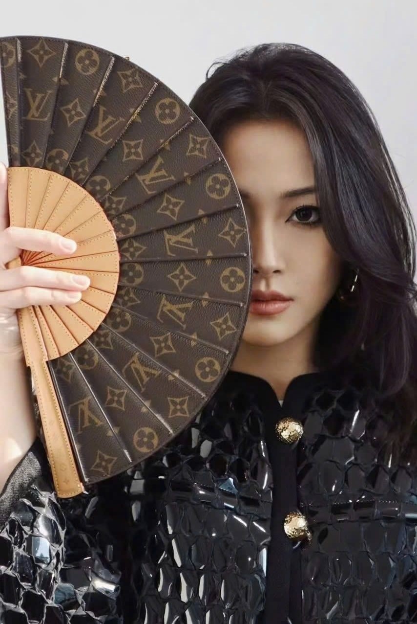 Túi Louis Vuitton LV Fan Monogram Canvas Bag M14804 2