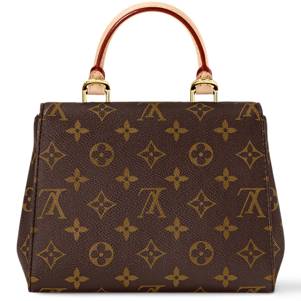 Túi Louis Vuitton Cluny Mini Monogram Canvas 1