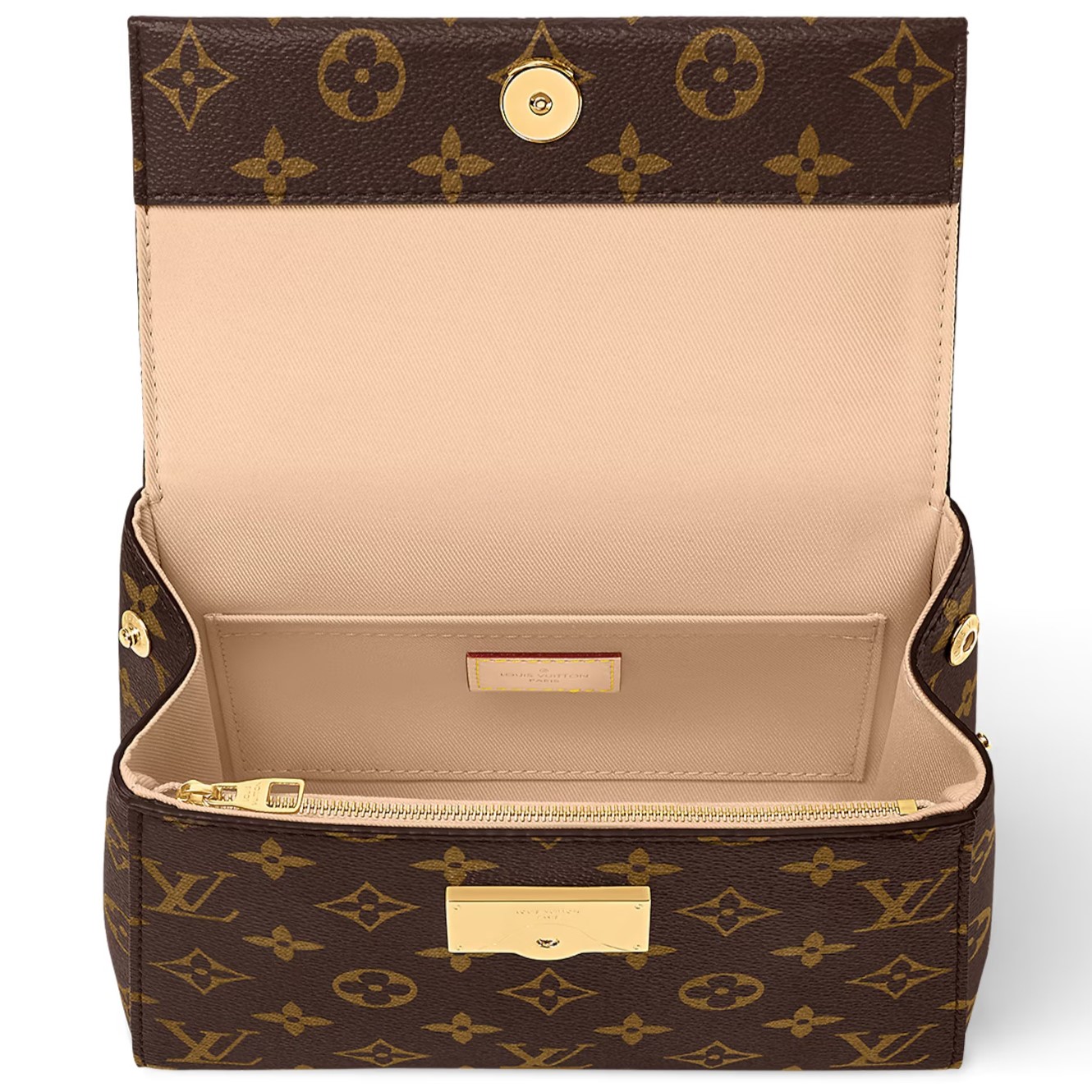 Túi Louis Vuitton Cluny Mini Monogram Canvas 3
