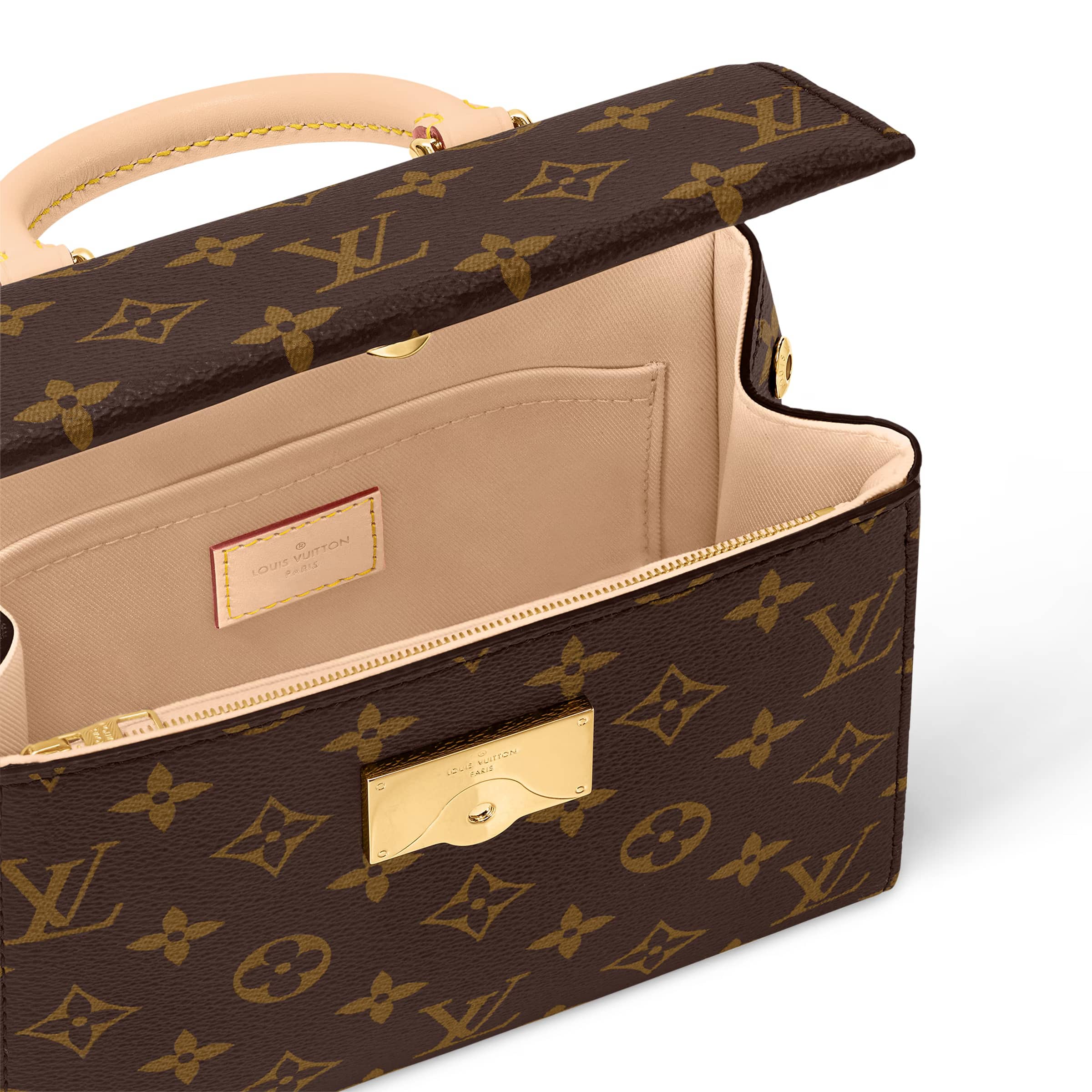 Túi Louis Vuitton Cluny Mini Monogram Canvas 6