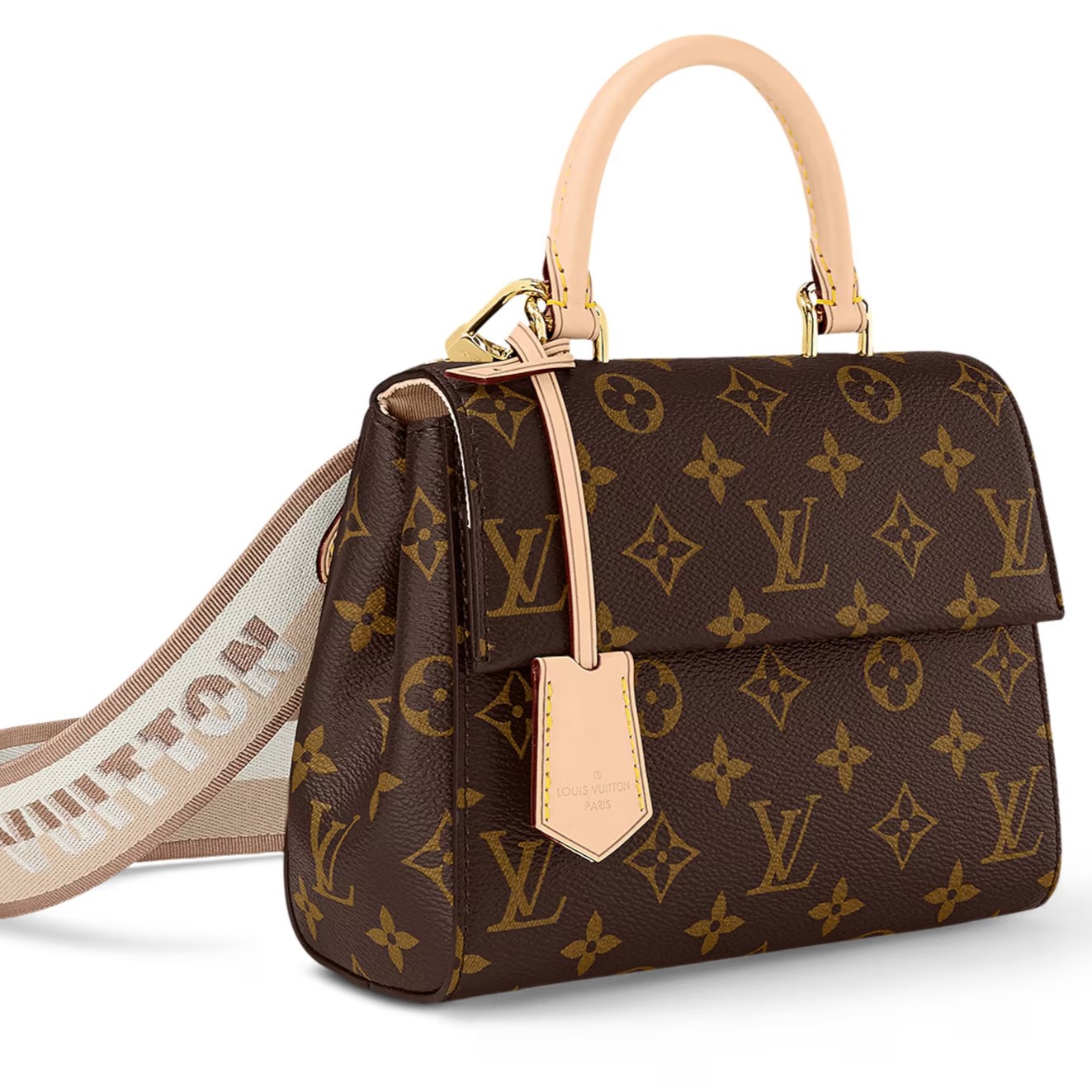 Túi Louis Vuitton Cluny Mini Monogram Canvas 7