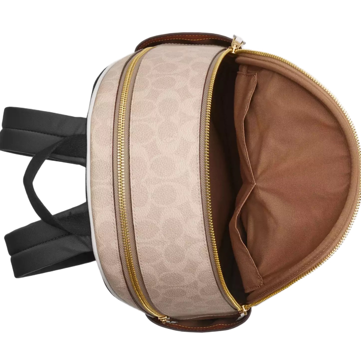 Balo Coach Court Backpack In Signature Canvas Sand Chalk CZ176 3