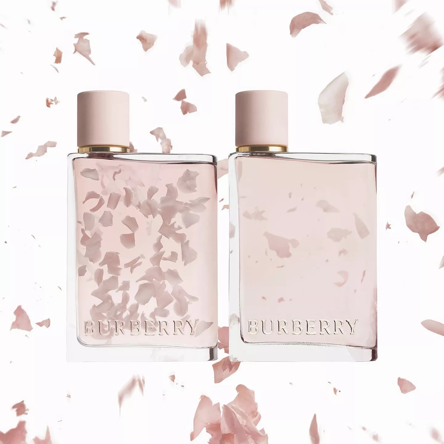 Nước hoa nữ Burberry Her Petals Limited Edition Eau De Parfum 4