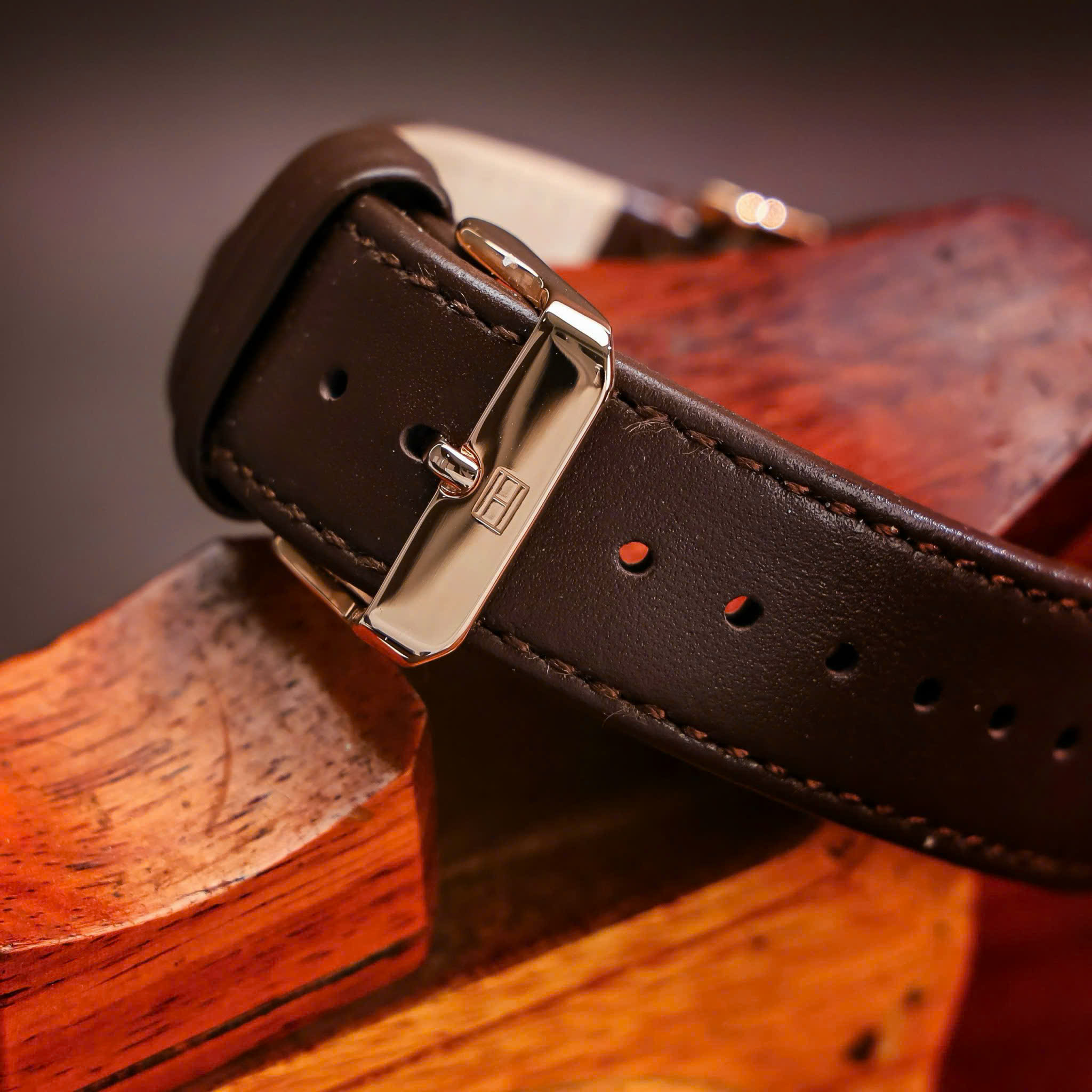 Đồng Hồ Nam Tommy Hilfiger Legend Brown TH1710566 1