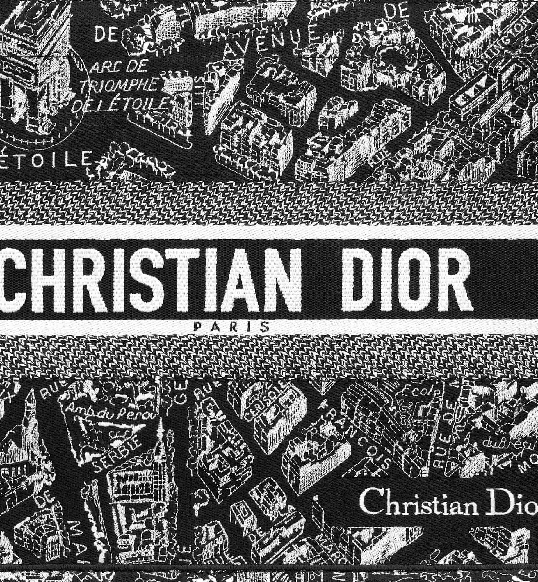 Túi Medium Dior Book Tote Black and White Plan de Paris Embroidery 3