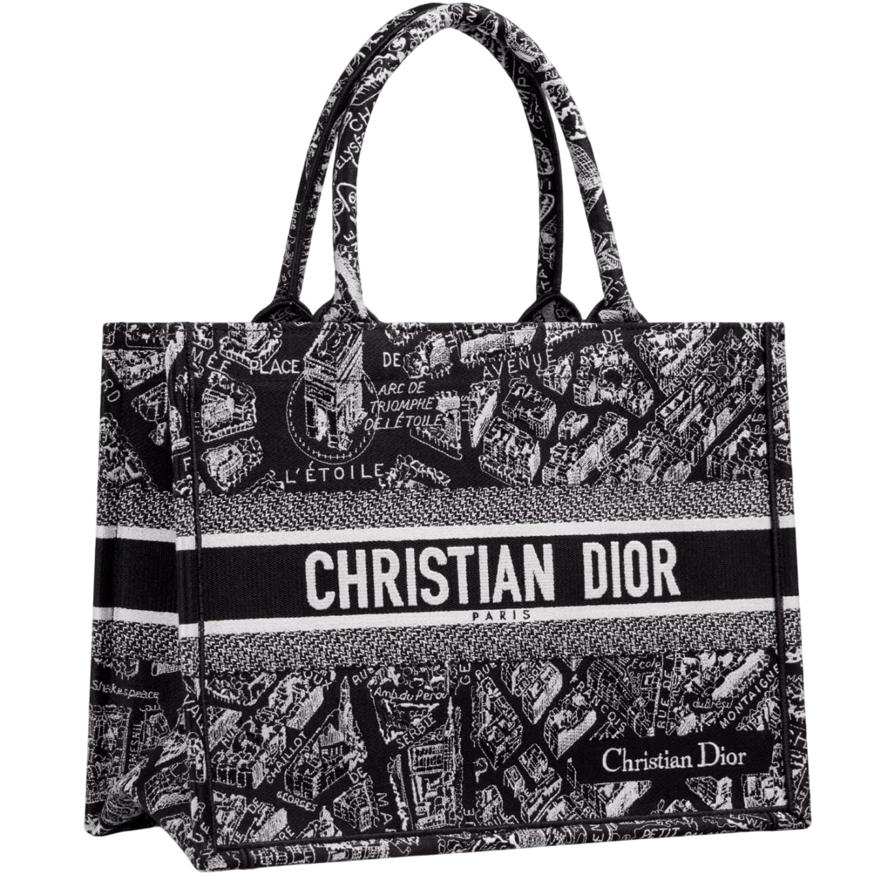 Túi Medium Dior Book Tote Black and White Plan de Paris Embroidery 11