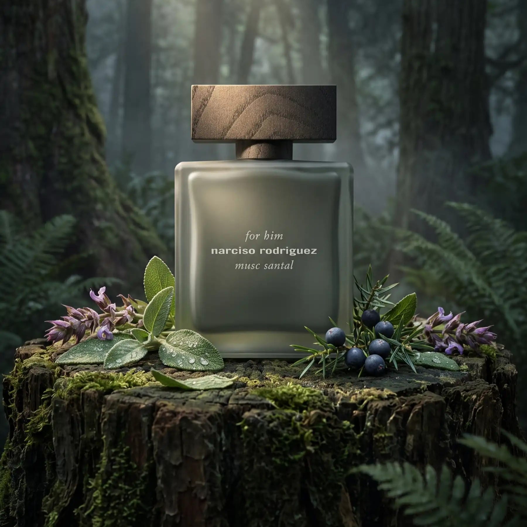 Nước hoa nam Narciso Rodriguez For Him Musc Santal Eau de parfum 5