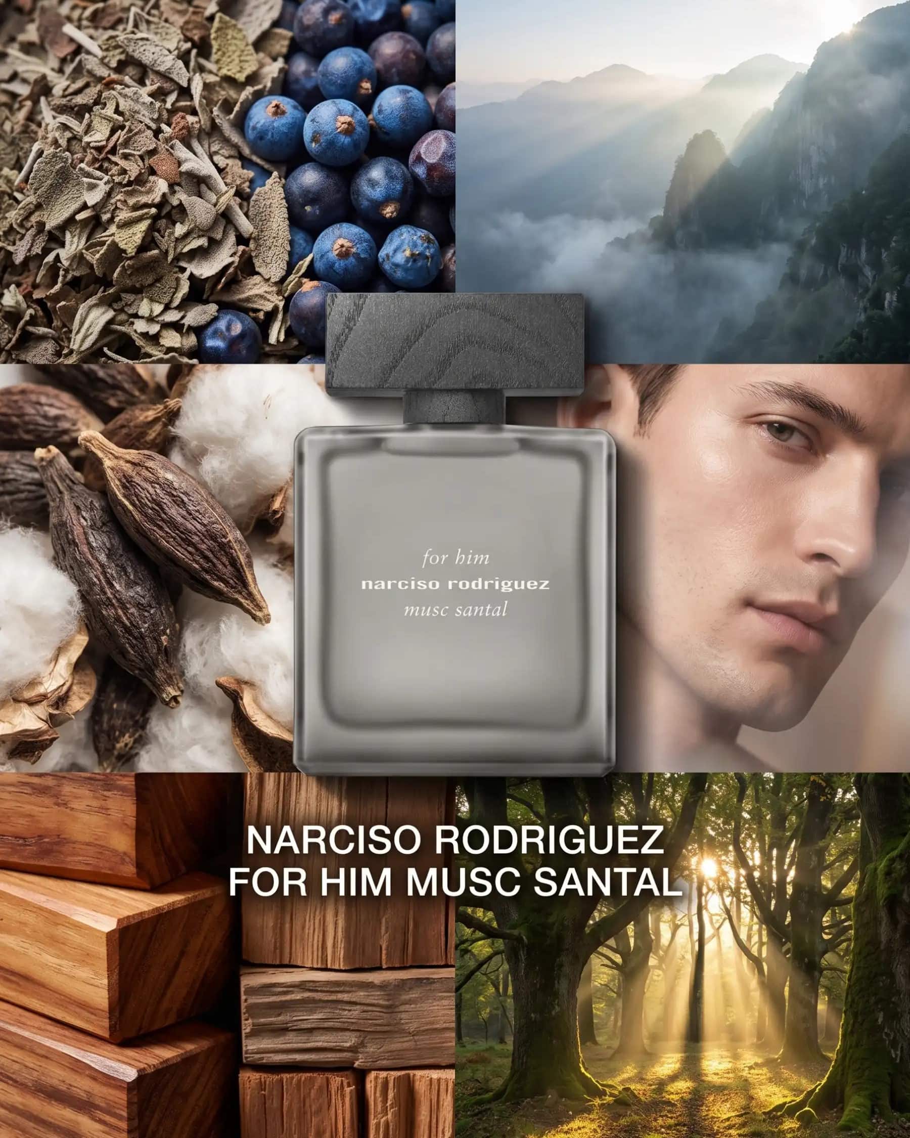 Nước hoa nam Narciso Rodriguez For Him Musc Santal Eau de parfum 3