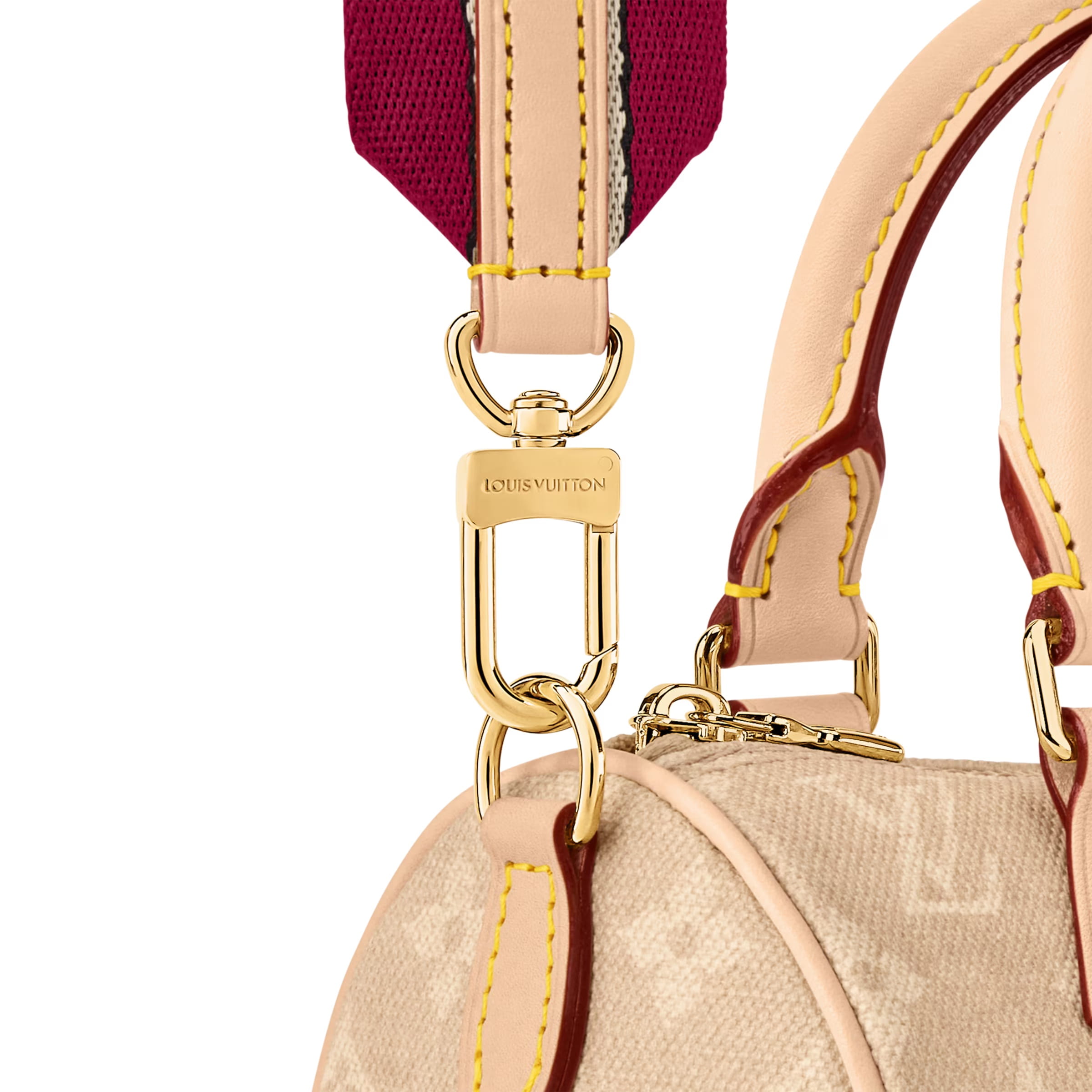 Túi Louis Vuitton Speedy Bandouliere 20 Meowgram Canvas 2
