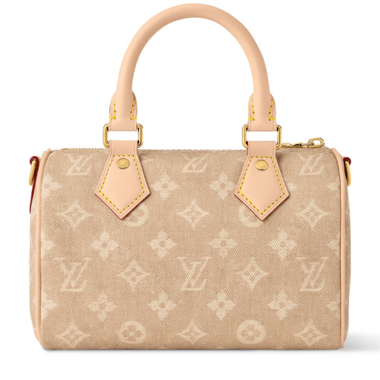 Túi Louis Vuitton Speedy Bandouliere 20 Meowgram Canvas 3