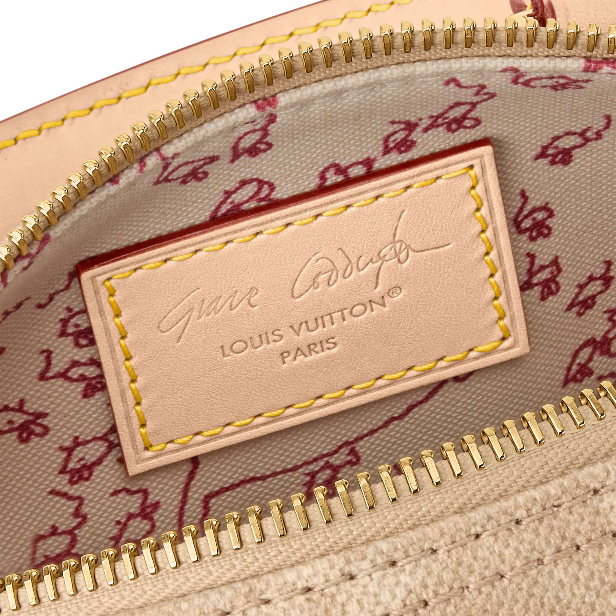 Túi Louis Vuitton Speedy Bandouliere 20 Meowgram Canvas 5