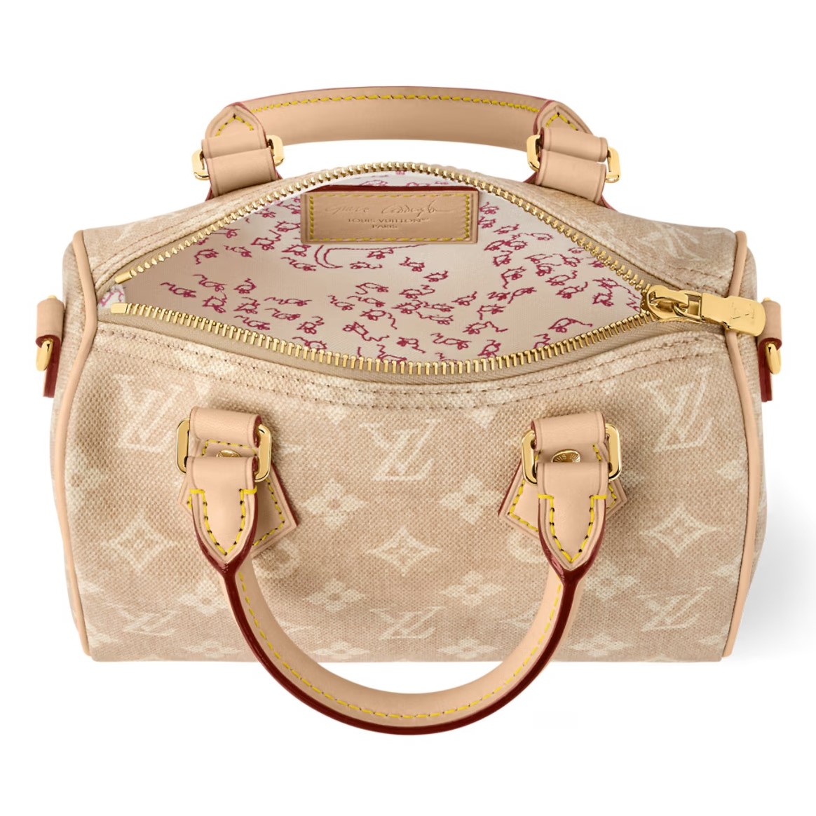Túi Louis Vuitton Speedy Bandouliere 20 Meowgram Canvas 6