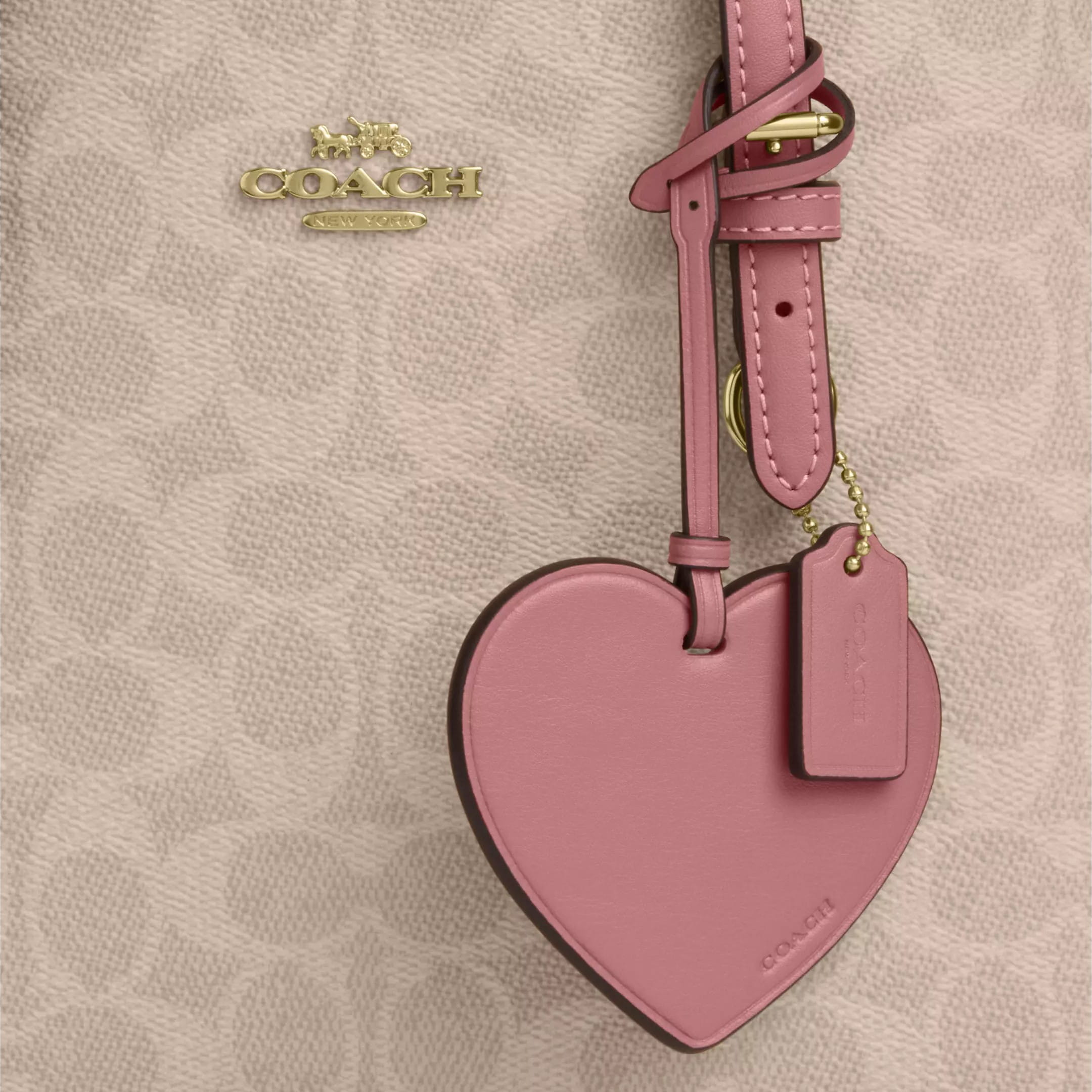 Túi Coach Mollie Tote Bag 25 In Signature Canvas With Heart Charm Sand Peony CDF03 4