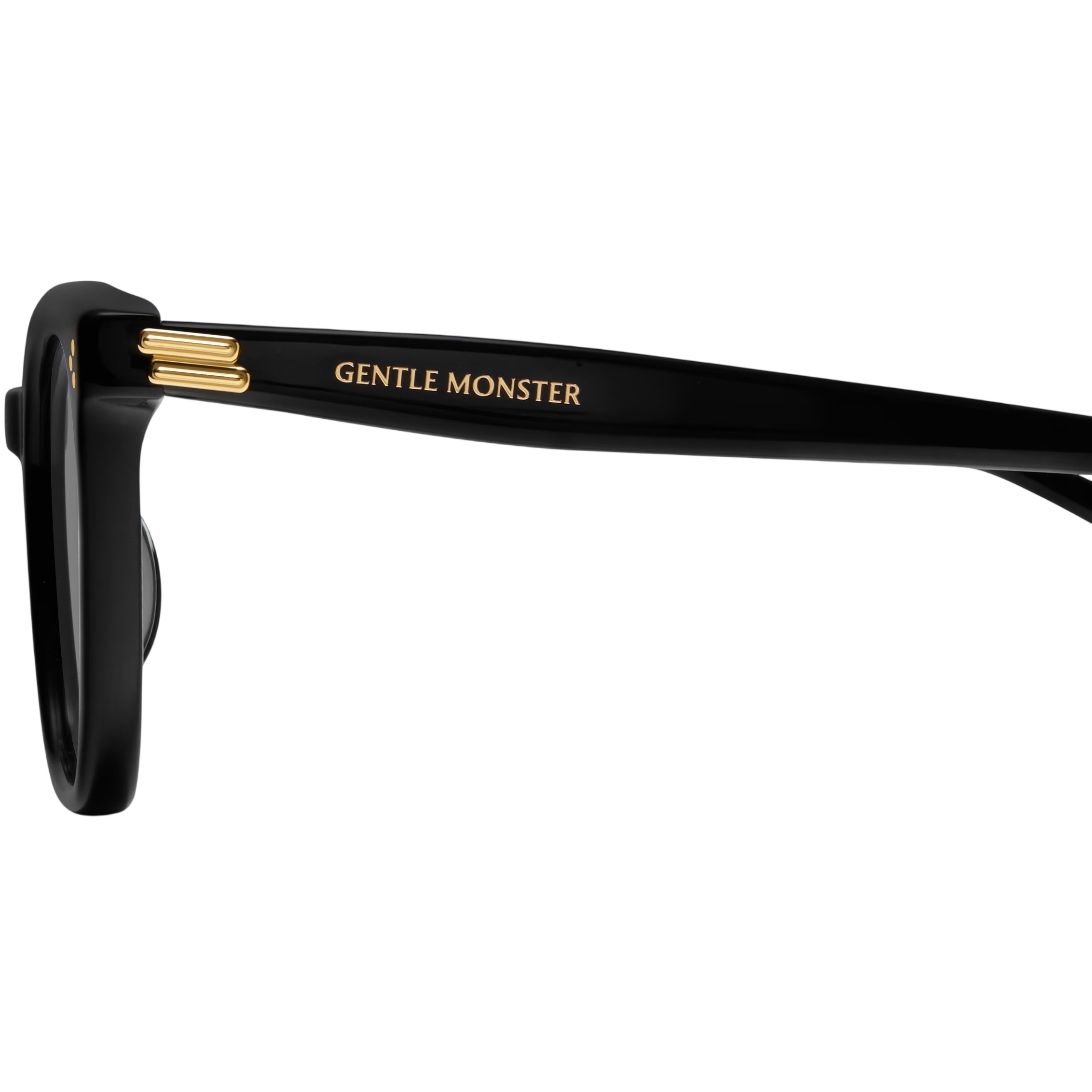 Kính mát Gentle Monster Bloomo 01 Classic Square Black Lenses Sunglasses in Black Acetate Frame 3