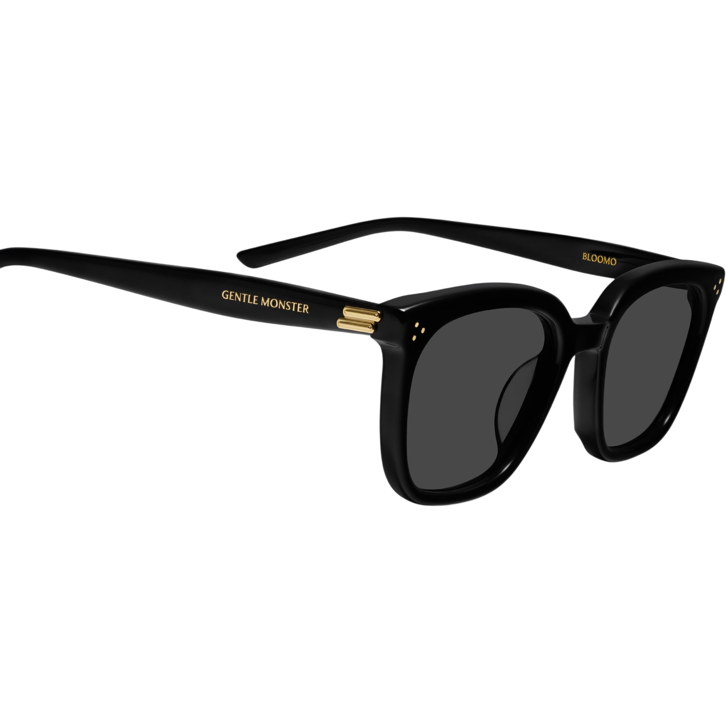 Kính mát Gentle Monster Bloomo 01 Classic Square Black Lenses Sunglasses in Black Acetate Frame 1