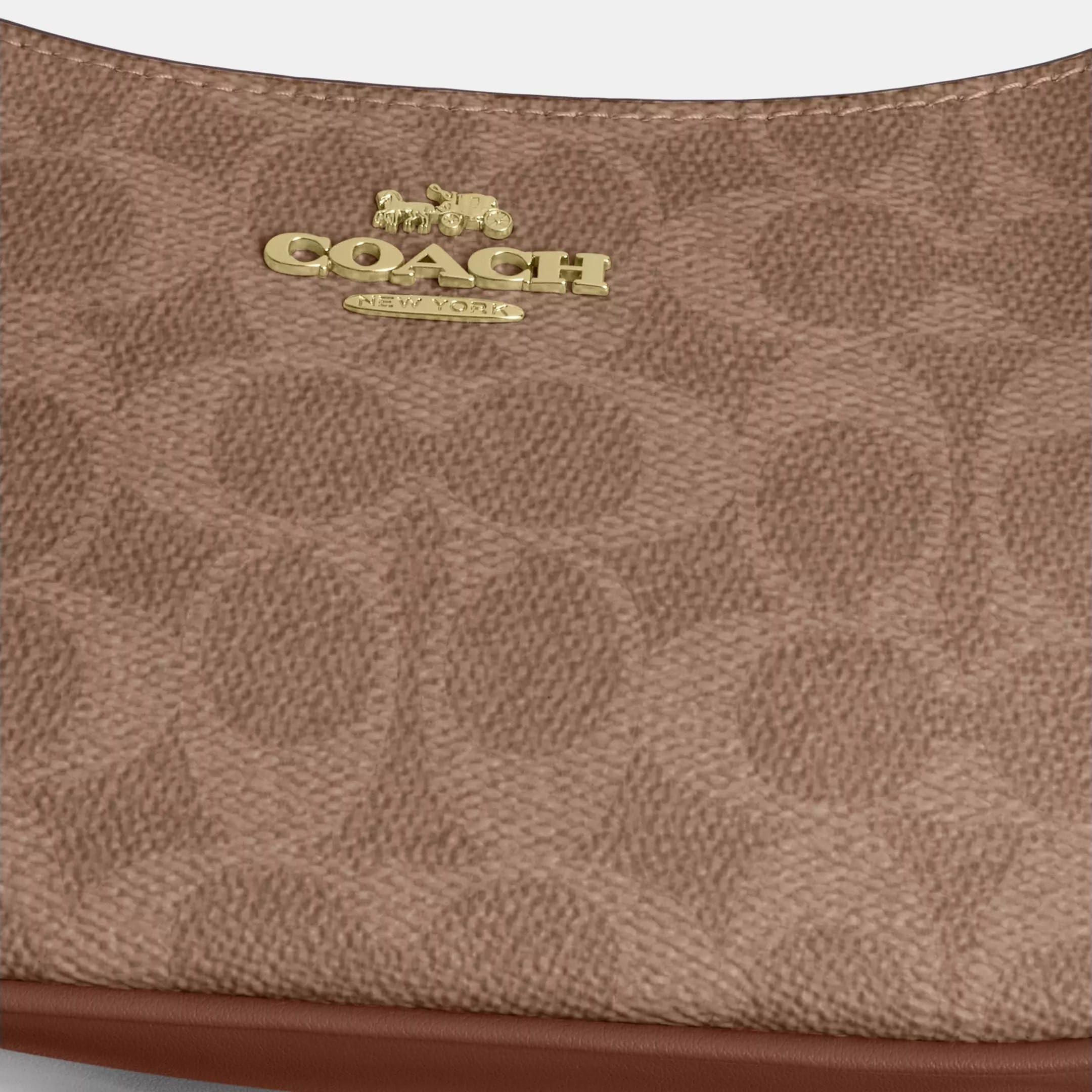 Túi Coach Teri Mini Crossbody Bag In Signature Canvas Brown CW323 1