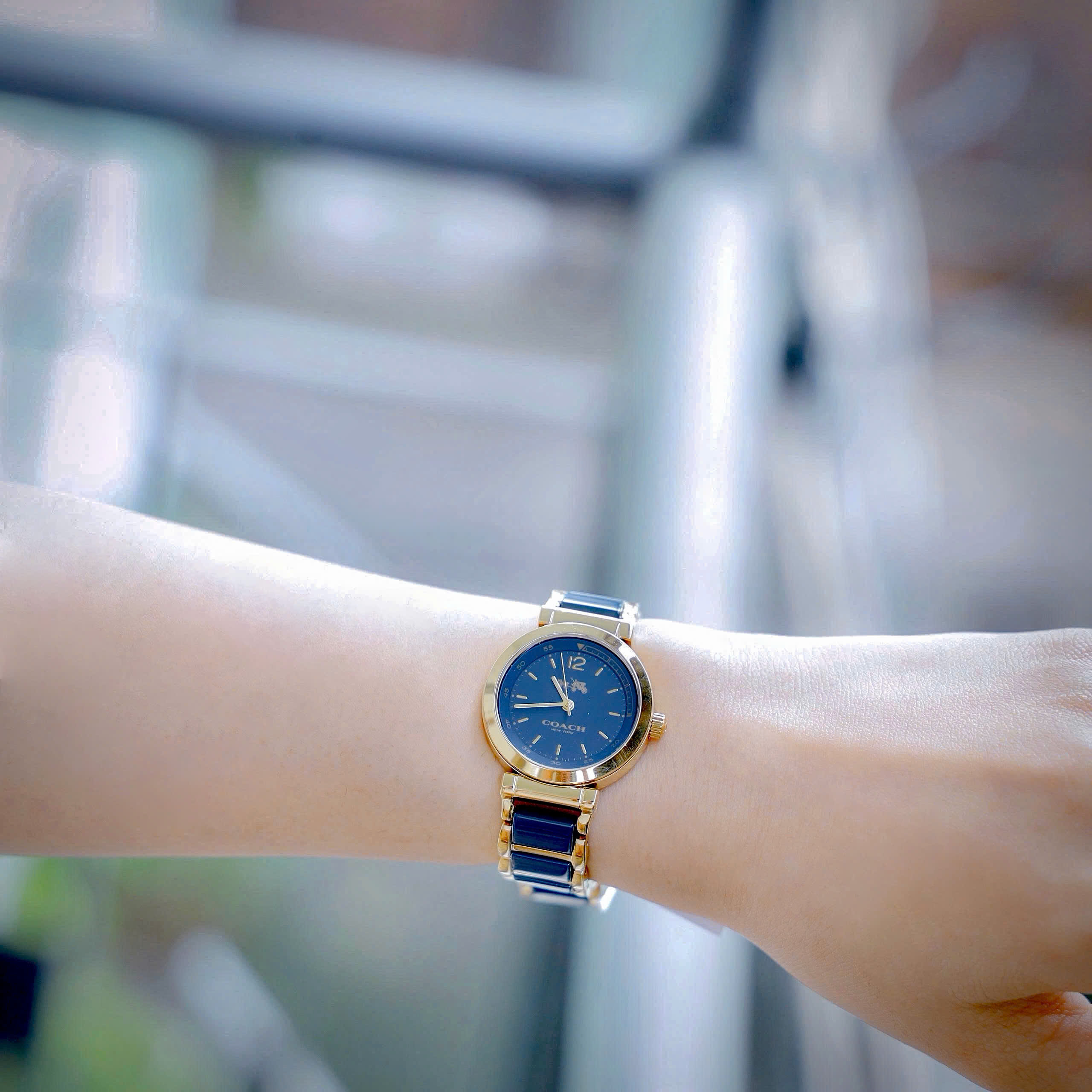Đồng hồ Coach Sport Ceramic Blue Dial Two Tone Steel Strap Watch 14502462 4