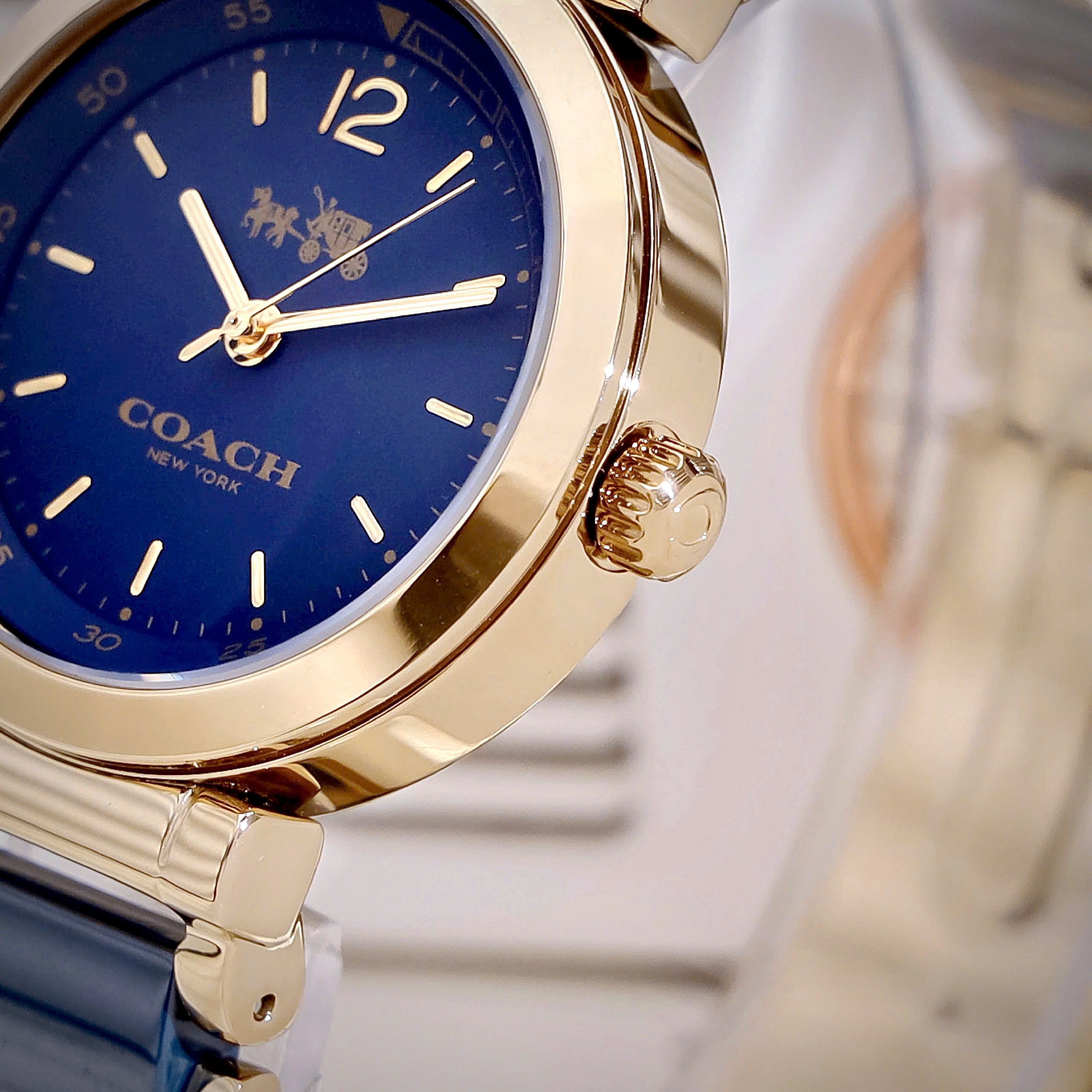 Đồng hồ Coach Sport Ceramic Blue Dial Two Tone Steel Strap Watch 14502462 6