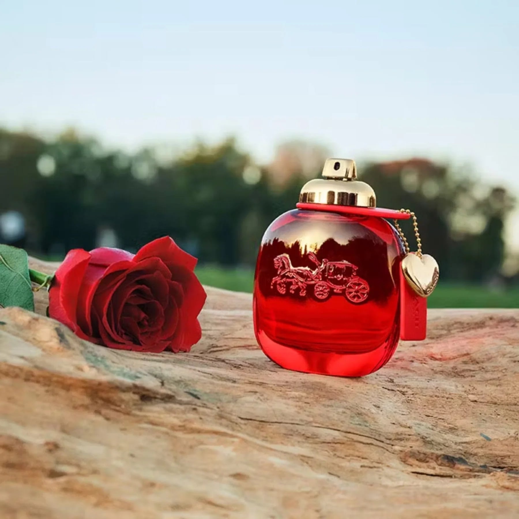 Nước Hoa Coach Love Eau De Parfum 1