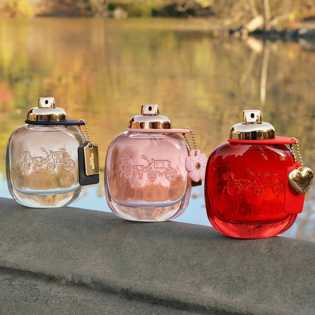 Nước Hoa Coach Love Eau De Parfum 5
