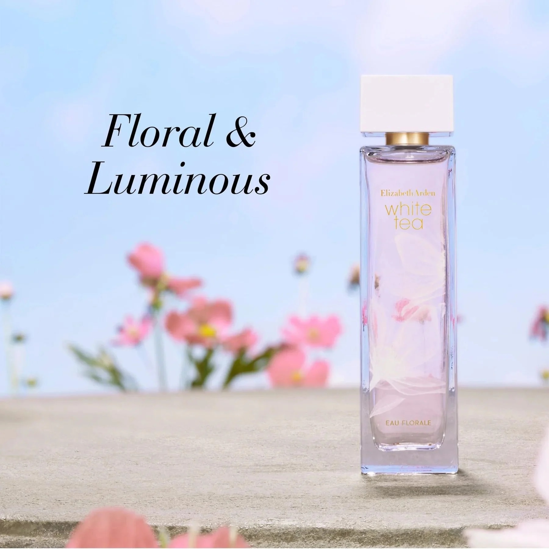 Nước hoa nữ Elizabeth Arden White Tea Eau Florale Eau De Toilette 6