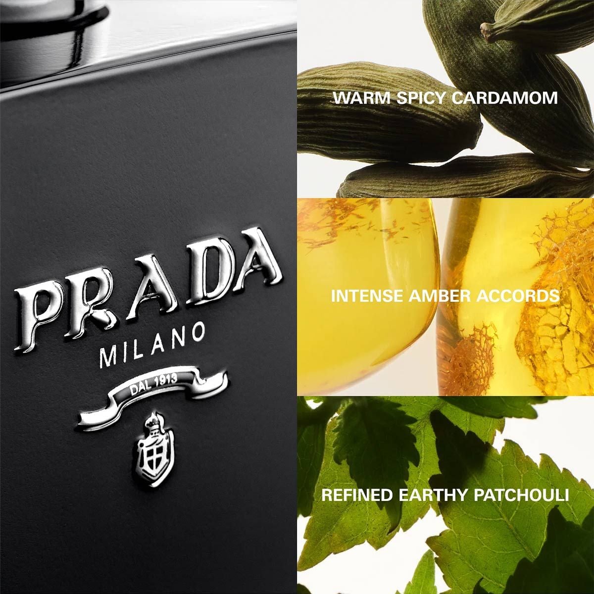 Nước Hoa Nam Prada L Homme Intense Eau De Parfum 6
