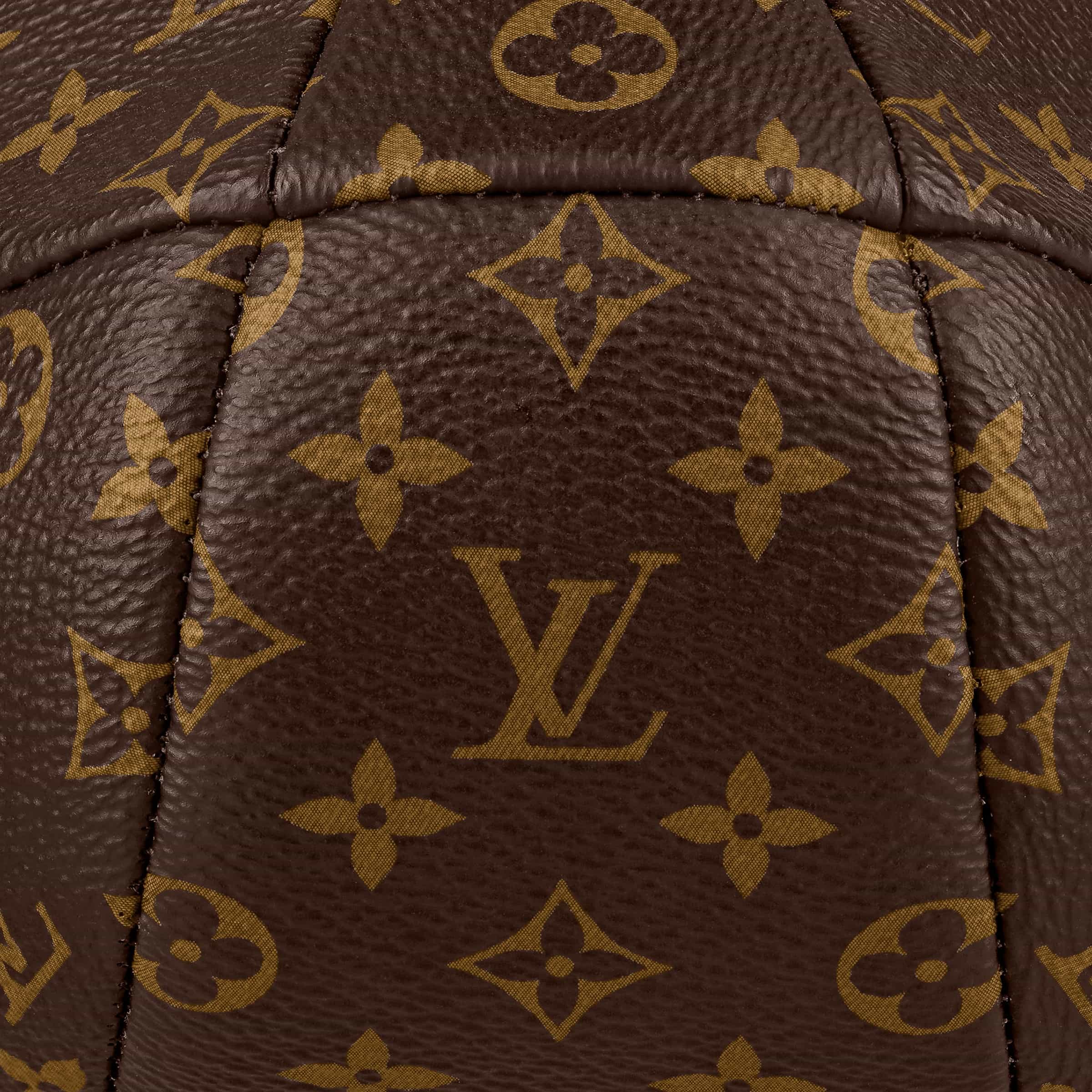 Túi Louis Vuitton Duck Bag Monogram Canvas 2