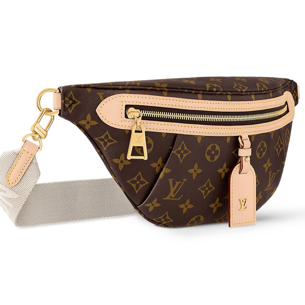 Túi Đeo Hông Louis Vuitton High Rise Monogram Canvas 9