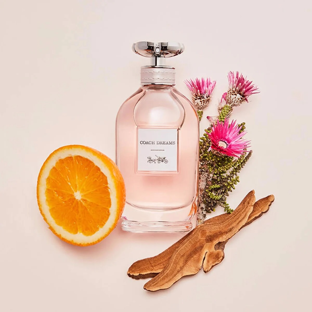 Nước hoa nữ Coach Dreams Eau De Parfum 3