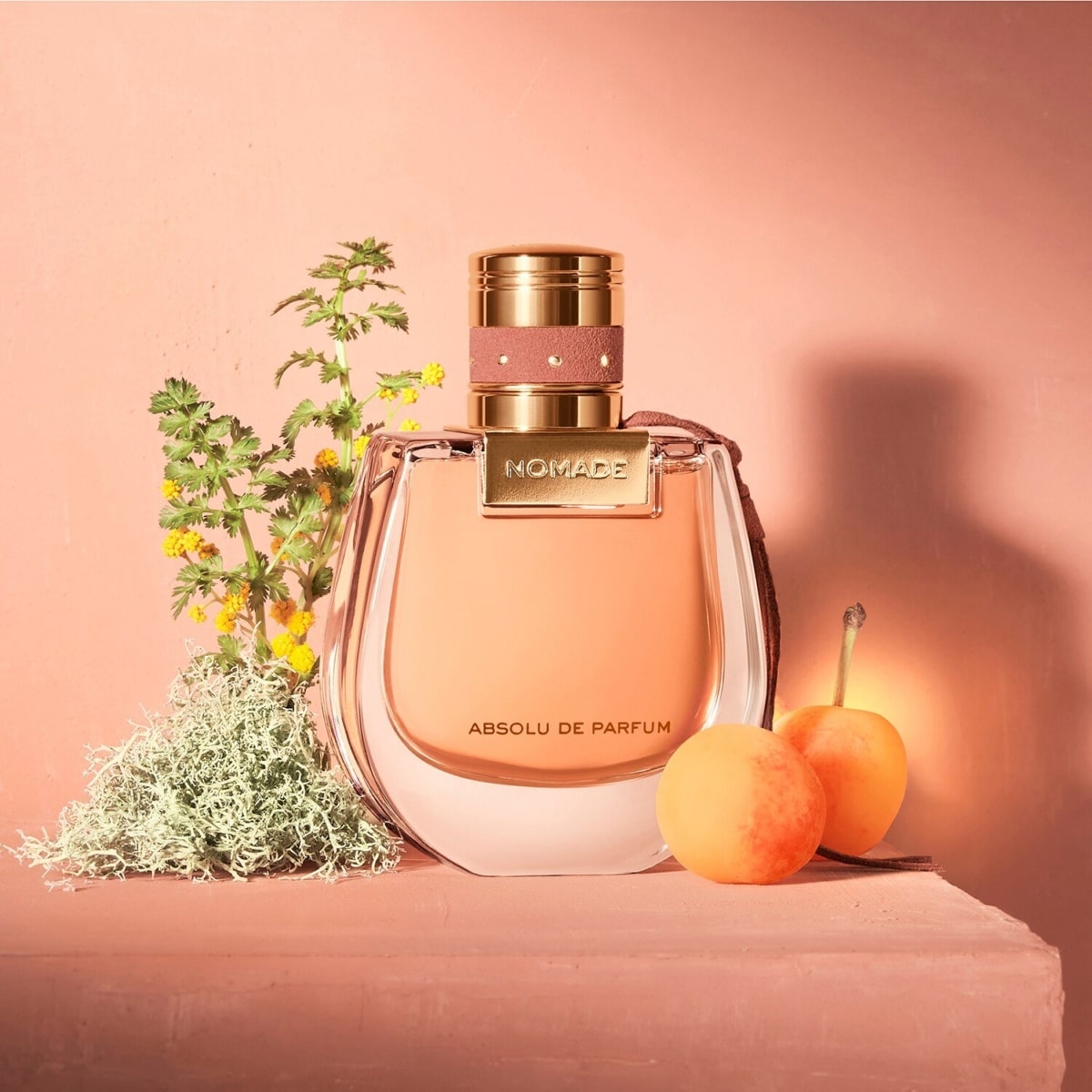 Nước hoa nữ Chloe Nomade Absolu de Parfum 7