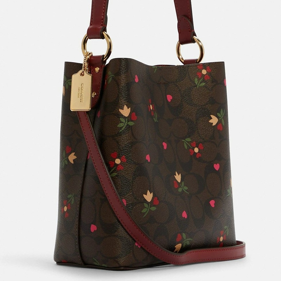 TÚI XÁCH NỮ COACH SMALL TOWN BUCKET BAG IN BROWN MULTI SIGNATURE CANVAS WITH HEART PETAL PRINT 2