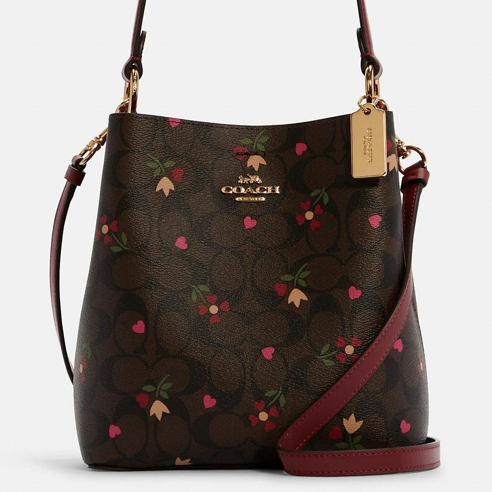 TÚI XÁCH NỮ COACH SMALL TOWN BUCKET BAG IN BROWN MULTI SIGNATURE CANVAS WITH HEART PETAL PRINT 1