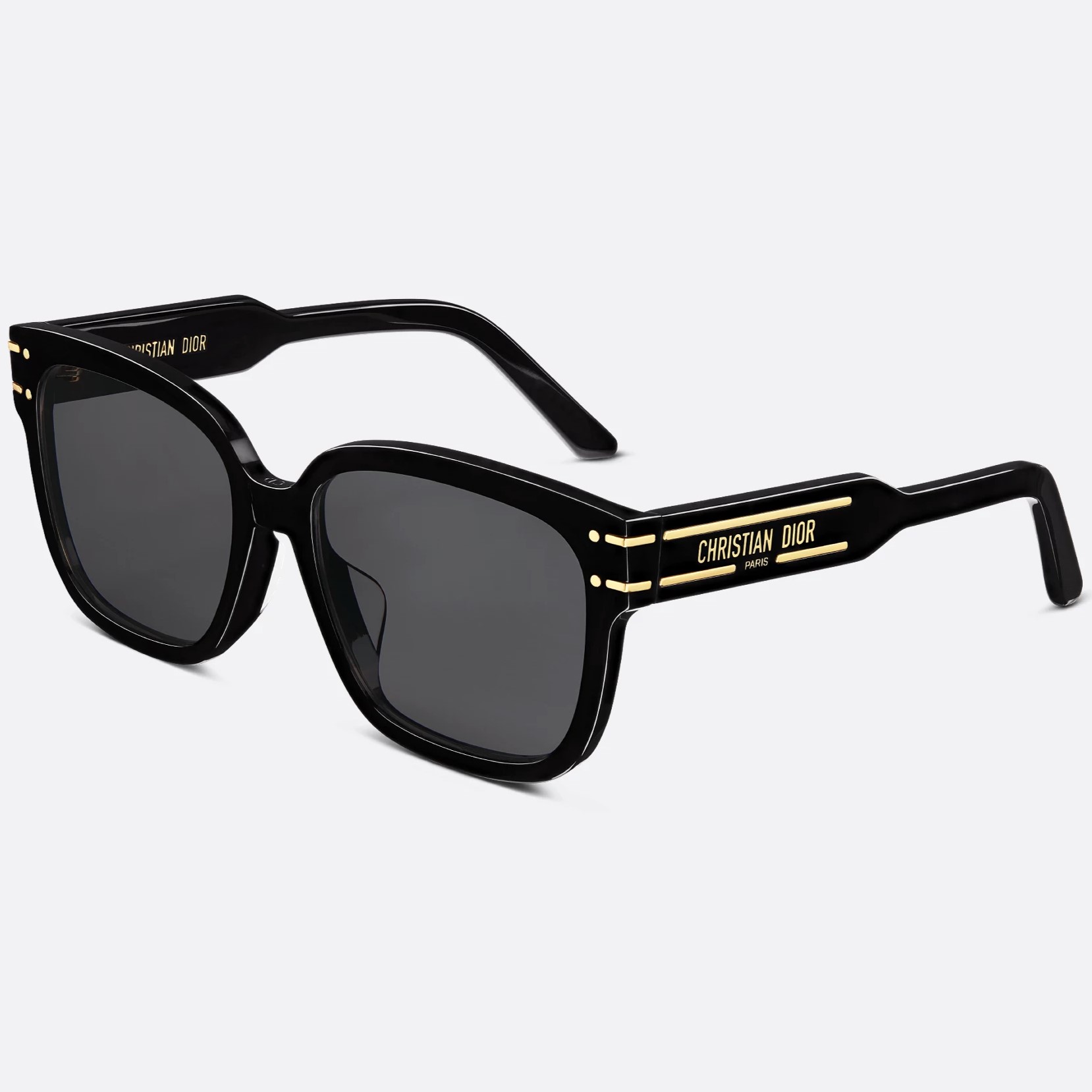 Mắt kính Dior Signature Black Square Sunglasses S7F 6