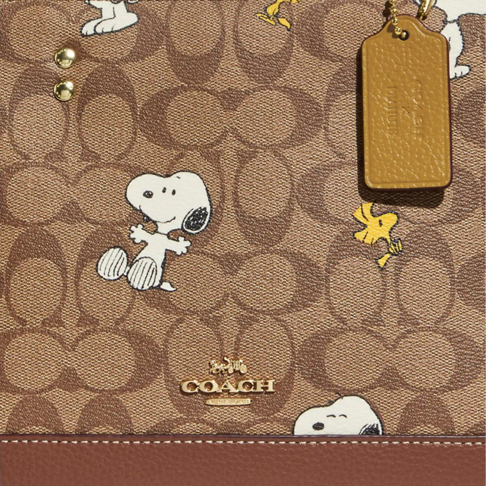 TÚI XÁCH NỮ COACH X PEANUTS DEMPSEY CARRYALL IN SIGNATURE CANVAS WITH SNOOPY WOODSTOCK PRINT 1