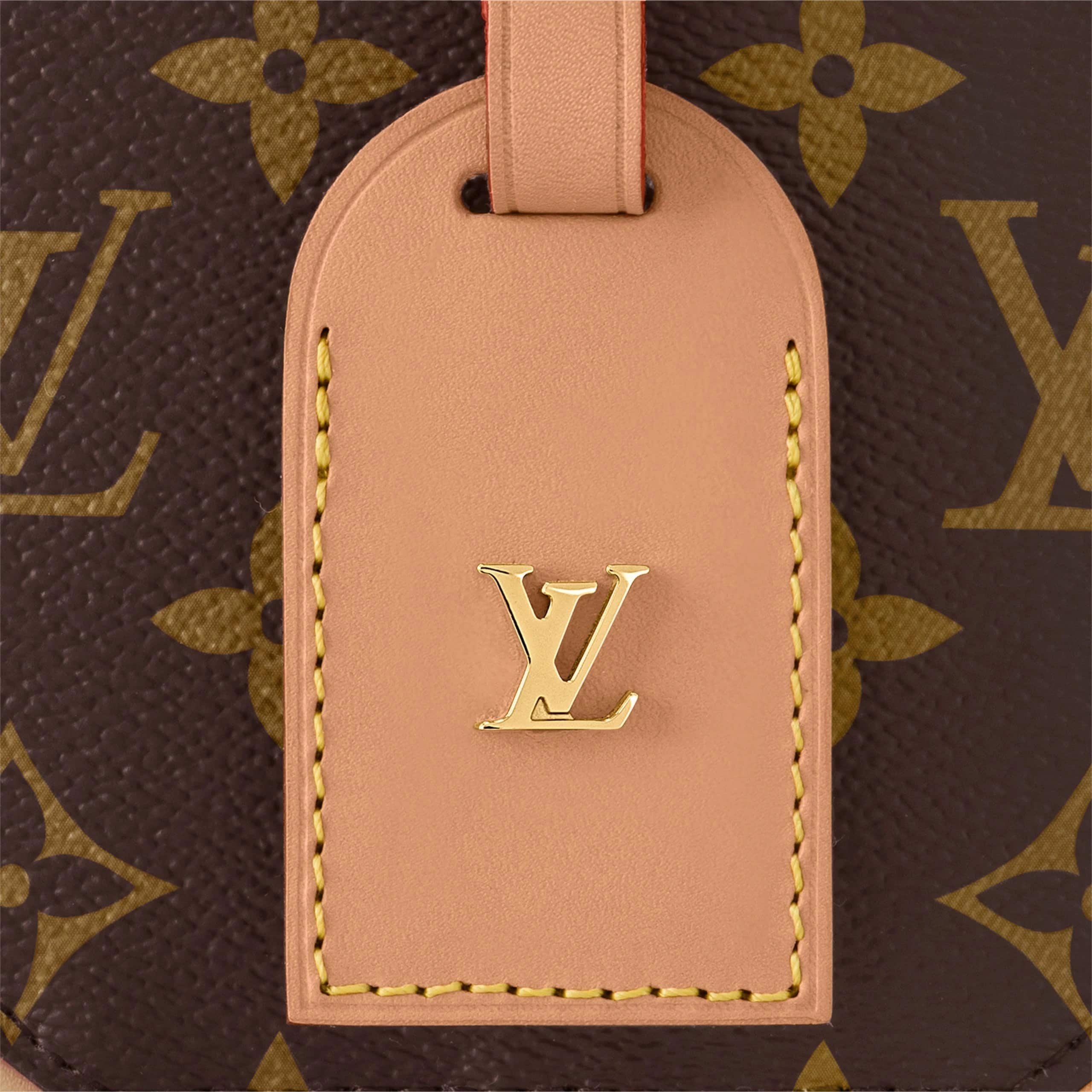 Túi cốp LV Louis Vuitton Mini Boite Chapeau Monogram M44699 6