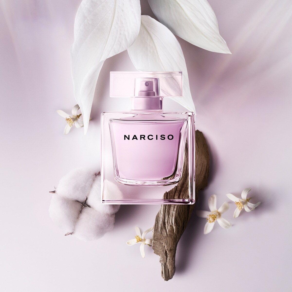 Nước hoa Narciso Rodriguez Radiante Eau de Parfum 8