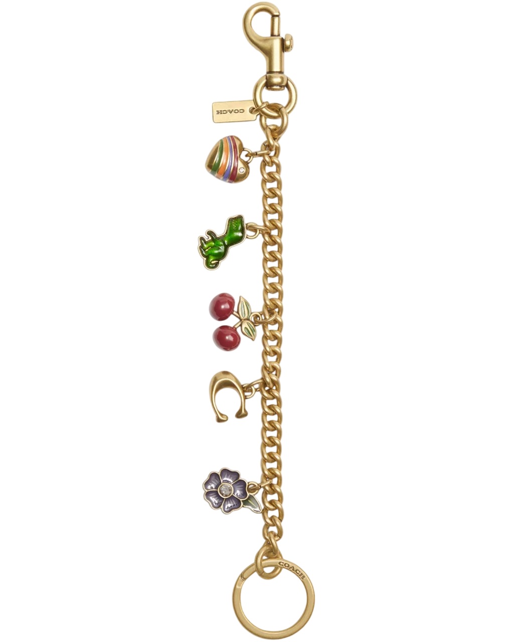 Dây Charm túi Coach Motif Chain Bag Pendant CN119 4