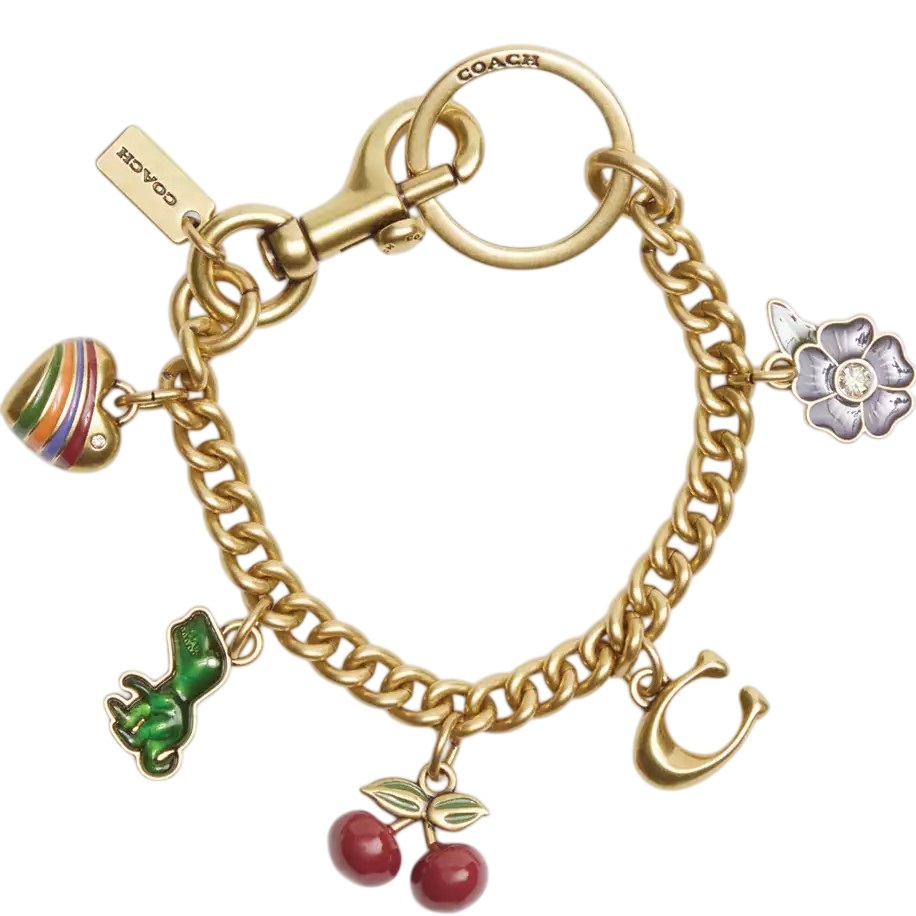 Dây Charm túi Coach Motif Chain Bag Pendant CN119 5
