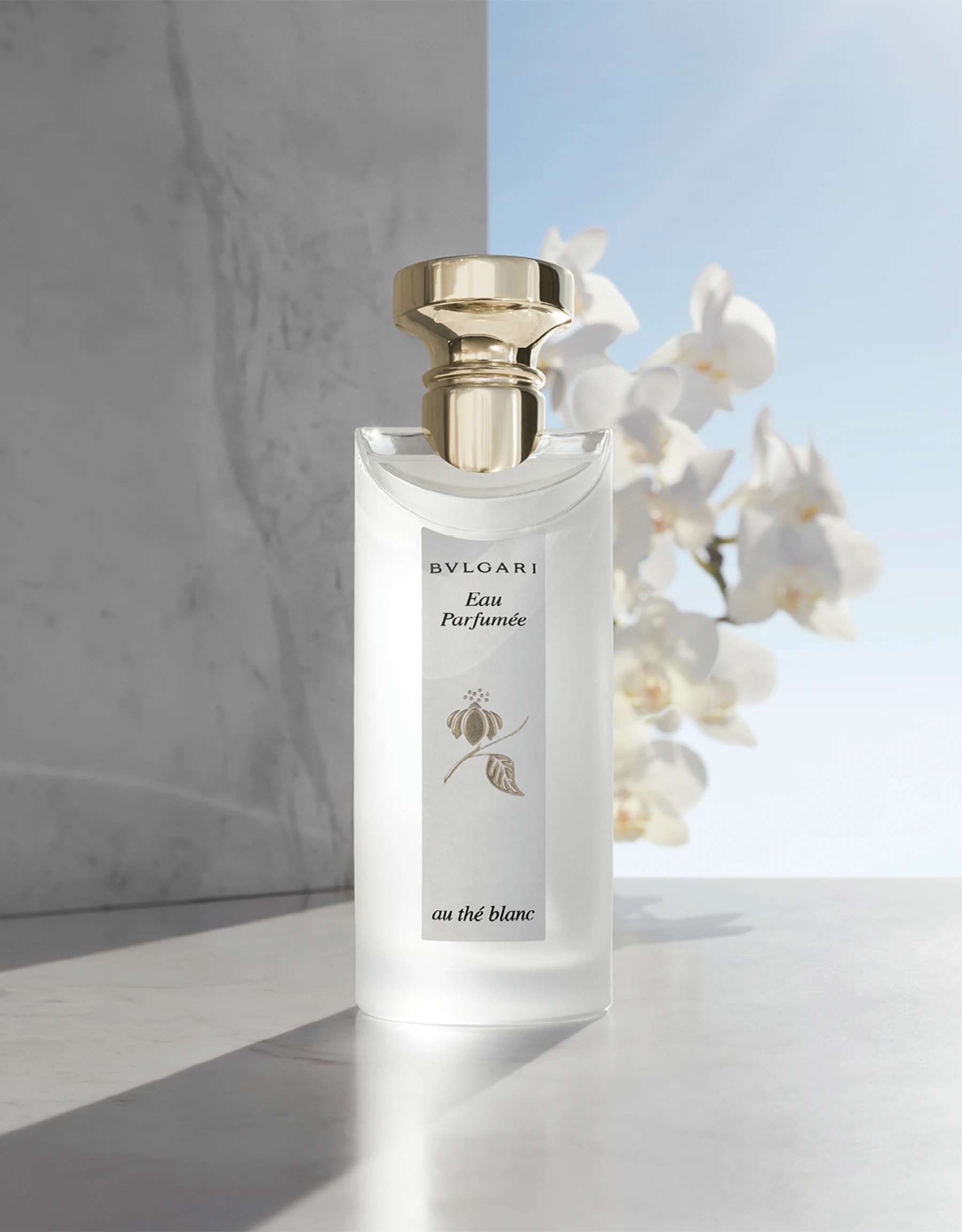 Nước hoa nữ Bvlgari Eau Parfumée Au Thé Blanc 3