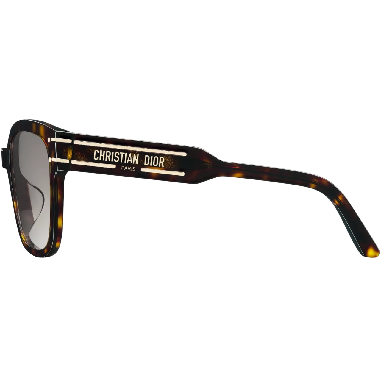 Kính Dior DiorSignature S7F Deep Brown Tortoiseshell-Effect Square Sunglasses 2